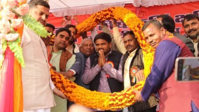 હાર્દિક પટેલ