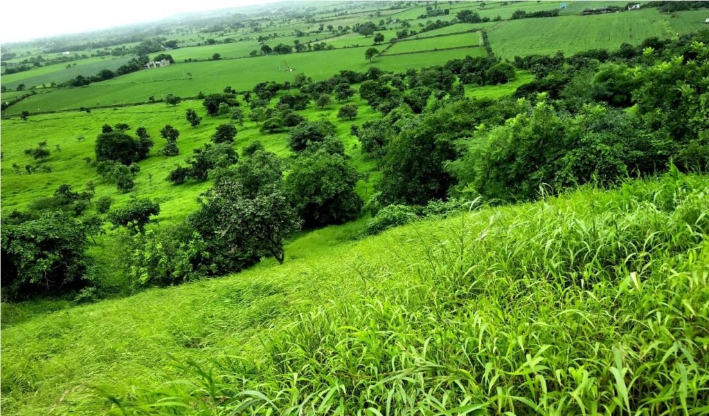 ગુજરાત