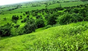 ગુજરાત