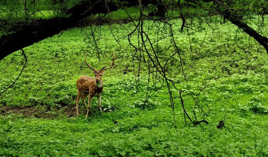ગુજરાત