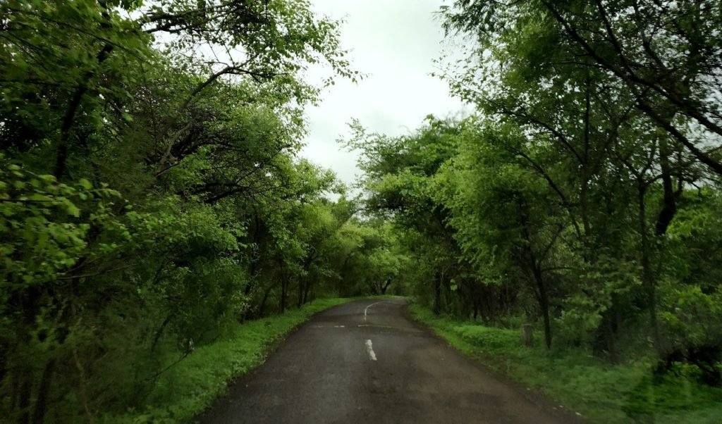 ગુજરાત