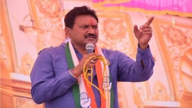 રઘુ દેસાઈ