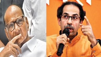 શરદ પવાર, રાજ્યસભા