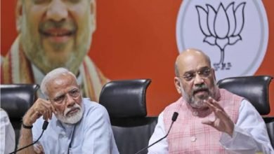 ભાજપ, વિજય માલ્યા