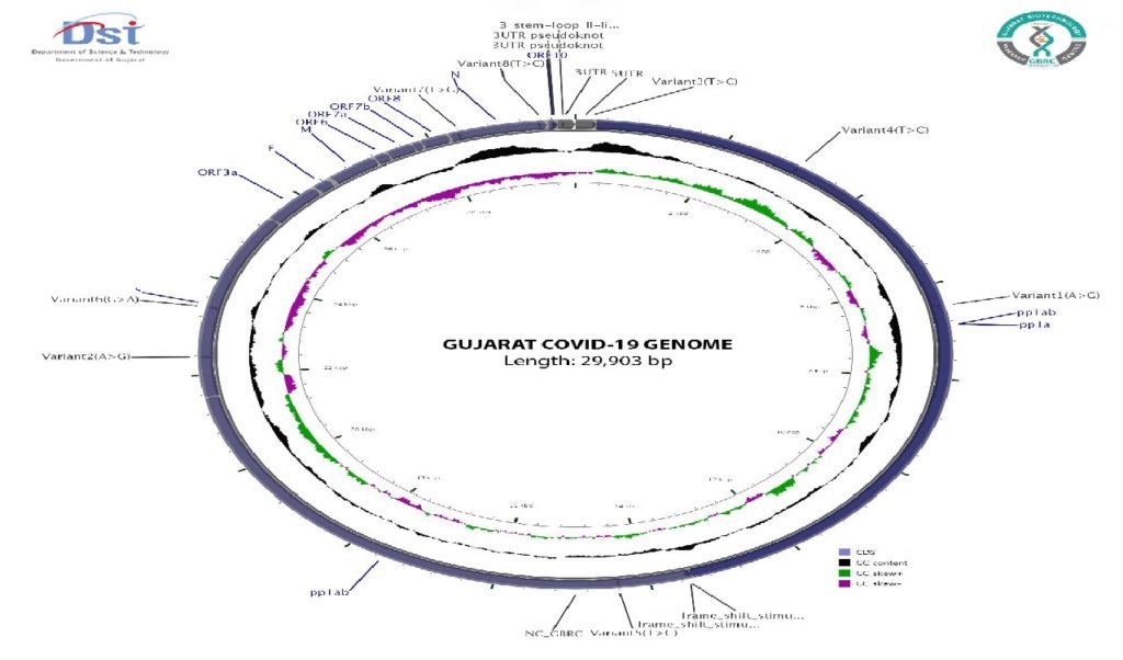 કોરોના, corona, GBRC