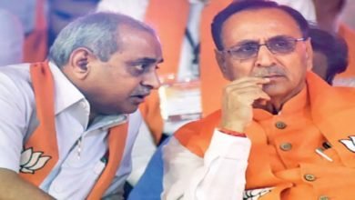 ગુજરાત ભાજપ, સીઆર પાટીલ, પેટા ચૂંટણી, ભાજપ, પાટીલ, જીગ્નેશ મેવાણી, અમિત ચાવડા, ભાજપ, રાજસ્થાન ભાજપ, ભાજપ, પેટા ચૂંટણી