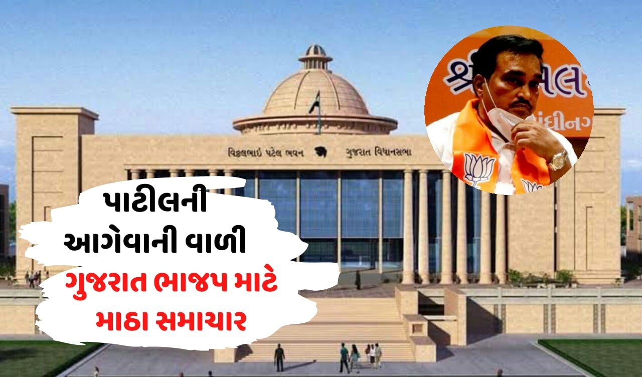 પાટીલ