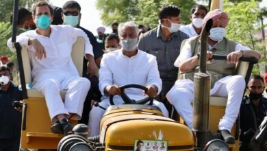 રાહુલ ગાંધી, પેટા ચૂંટણી