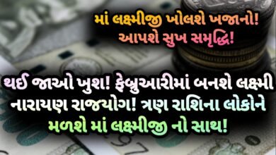 લક્ષ્મી નારાયણ રાજયોગ, રાજયોગ, Jansad