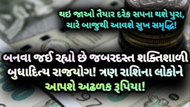 રાજયોગ, Jansad