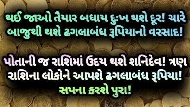 શનિદેવ, jansad