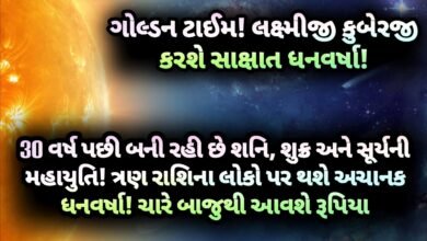 શનિ, jansad