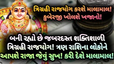 રાજયોગ, jansad