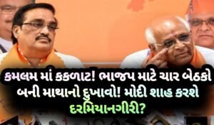 ગુજરાત, jansad