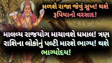 રાજયોગ, jansad