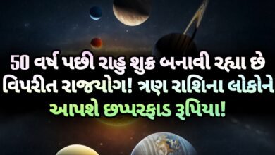 રાજયોગ, jansad