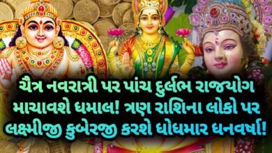 નવરાત્રી, jansad