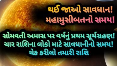 સોમવતી અમાસ, jansad