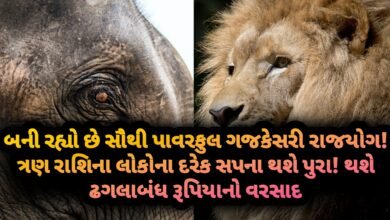 ગજકેસરી, jansad