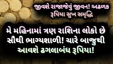 મે, jansad