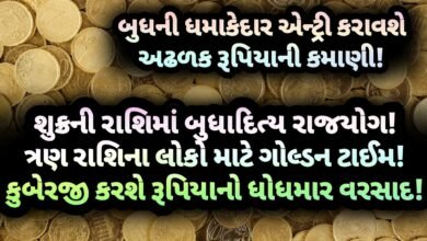 રાજયોગ, jansad