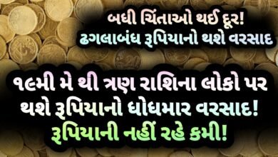 મે, jansad