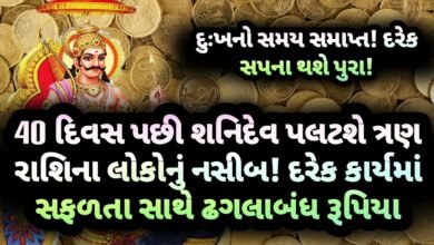 શનિદેવ, jansad