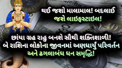 રાહુ, rahu, jansad, the jansad, news, breakjng news, gujarat, Gujarati, astrology