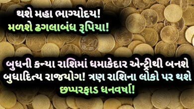 રાજયોગ, jansad, the jansad, news, gujarati, gujarat, gujarati news