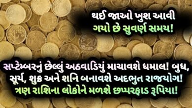 બુધ, શુક્ર, શનિ, સૂર્ય, રાજયોગ, jansad, the jansad, gujarati, gujarat, news, news gujarati, news gujarat, gujarat news, gujarati news, breaking news