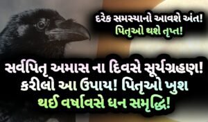 અમાસ, સર્વ પિતૃ અમાસ, Gujarati, gujarat, jansad, news