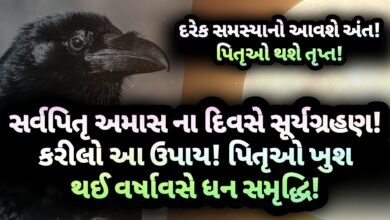 અમાસ, સર્વ પિતૃ અમાસ, Gujarati, gujarat, jansad, news