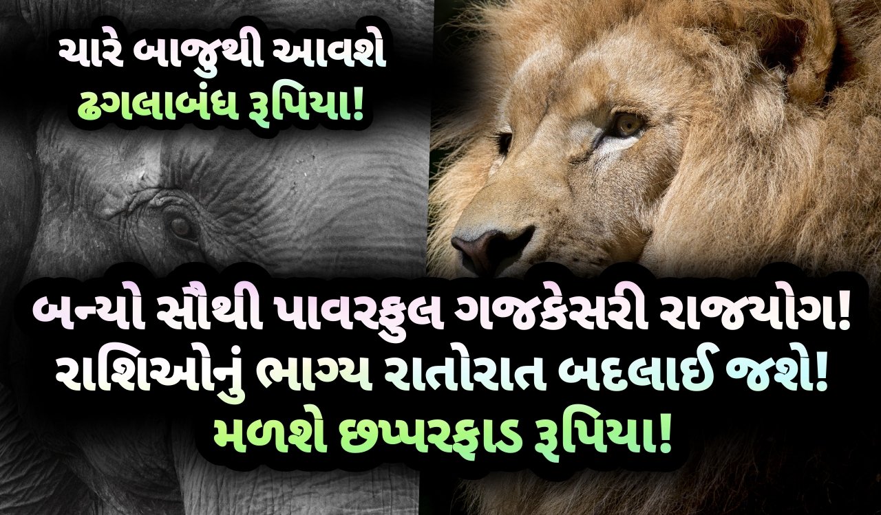 ગજકેસરી, ગજકેસરી રાજયોગ, jansad, gujarat, gujarati, news, gujarat news, gujarati news