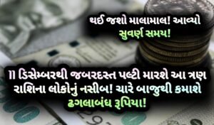 ડિસેમ્બર, jansad, gujarati news, news,